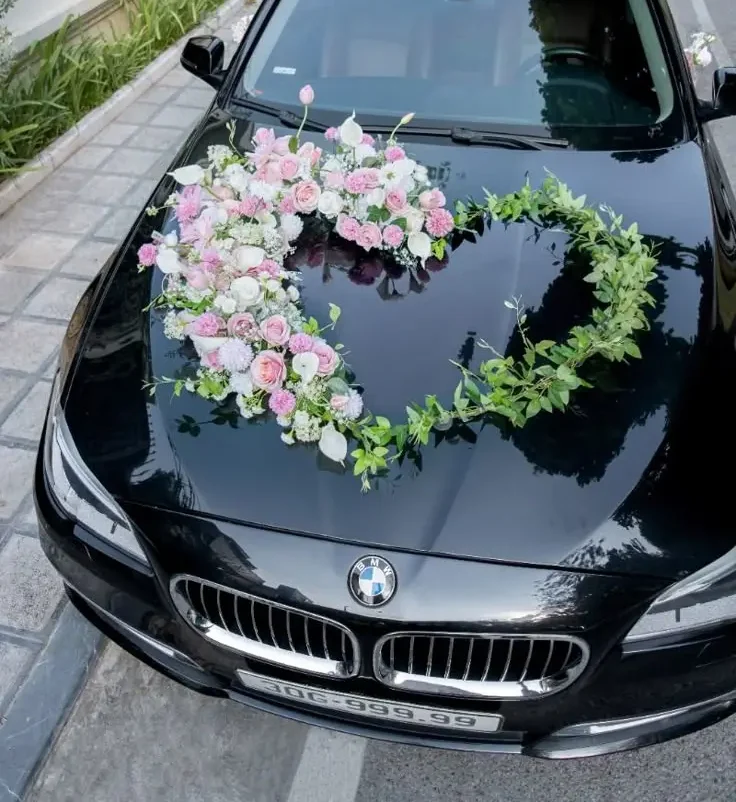 Luxury Transportation